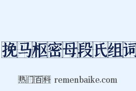挽马枢密母段氏组词是什么意思的图片